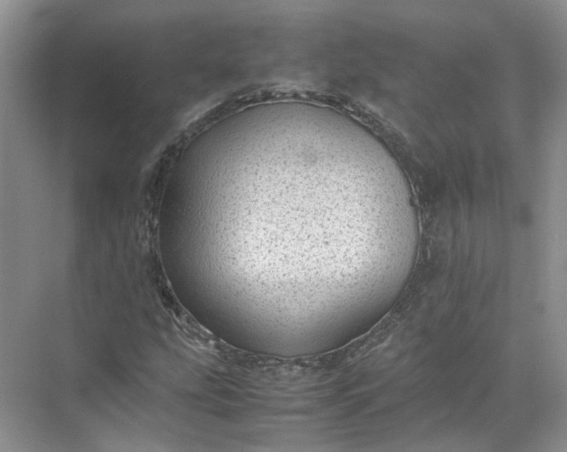 X0000072531207200607290215