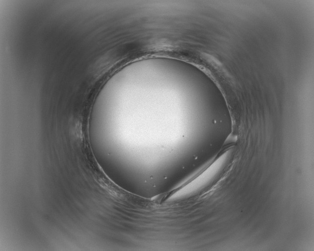 X0000072531209200607290215