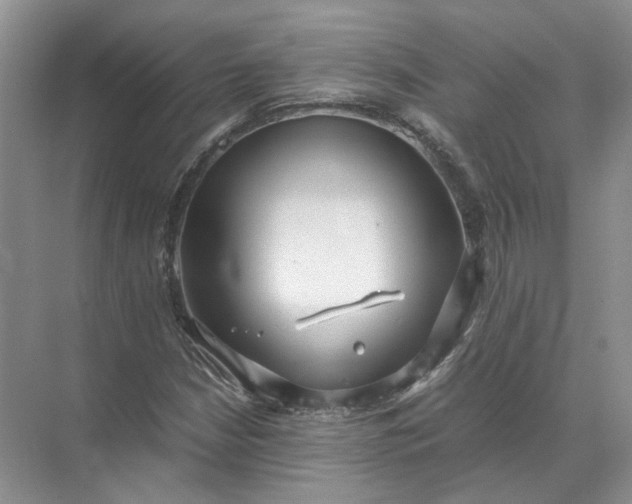 X0000072531210200607290215