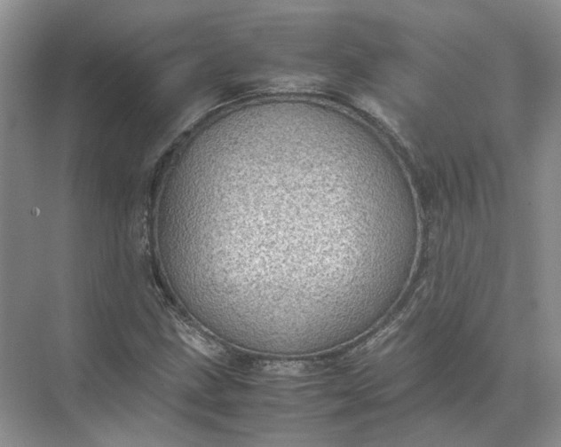 X0000072531211200607290215