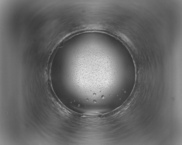 X0000072531212200607290215