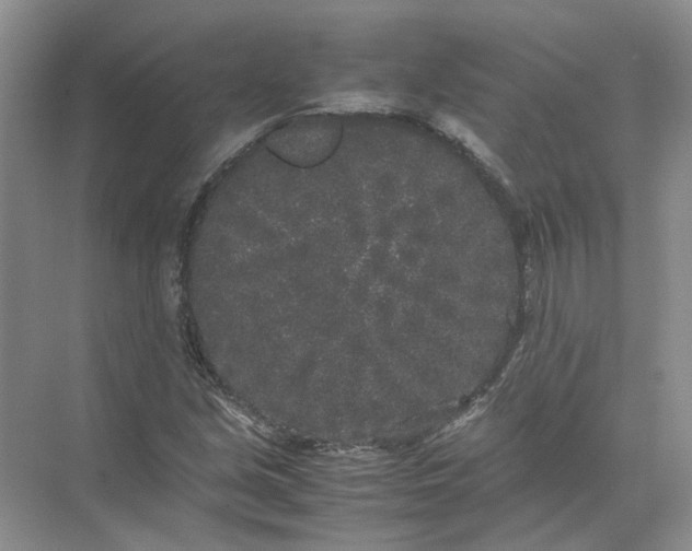 X0000072531213200607290215