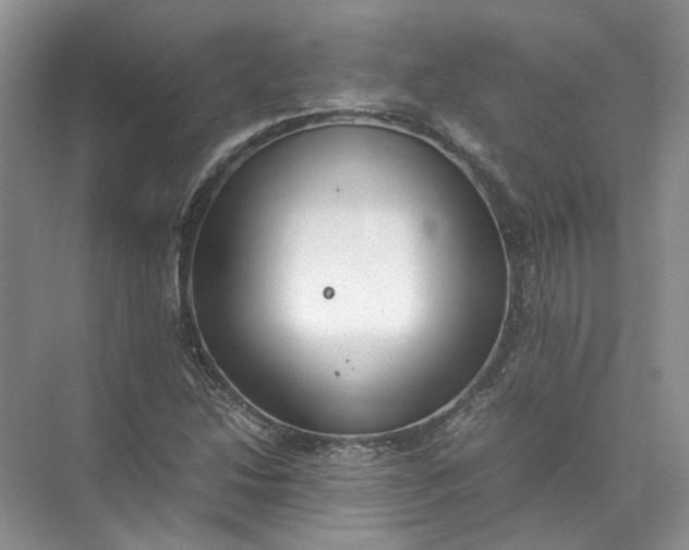 X0000072531214200607290215