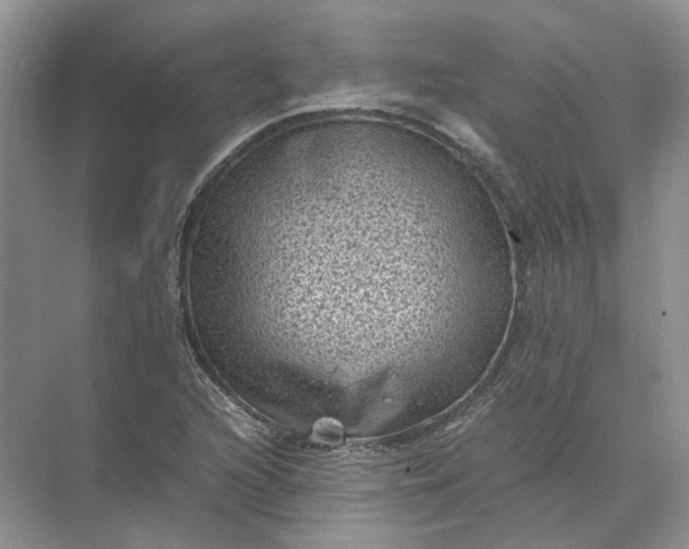 X0000072531216200607290215