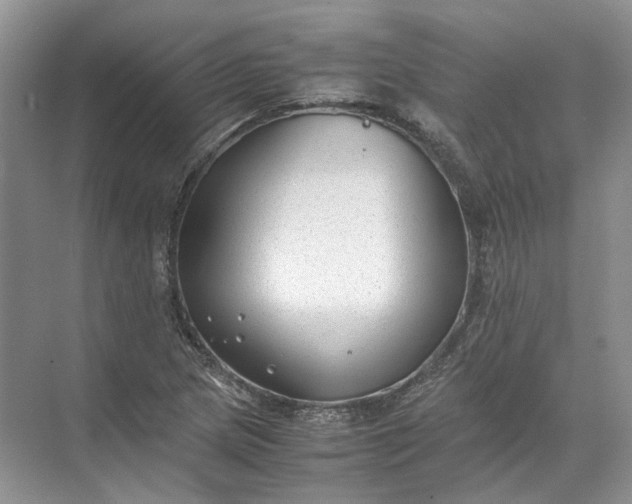 X0000072531217200607290215