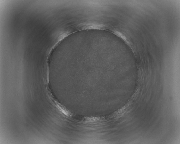 X0000072531219200607290215