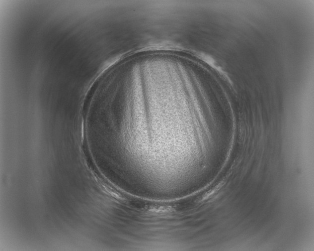 X0000072531221200607290216