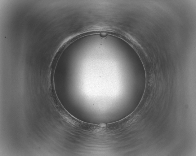 X0000072531222200607290216