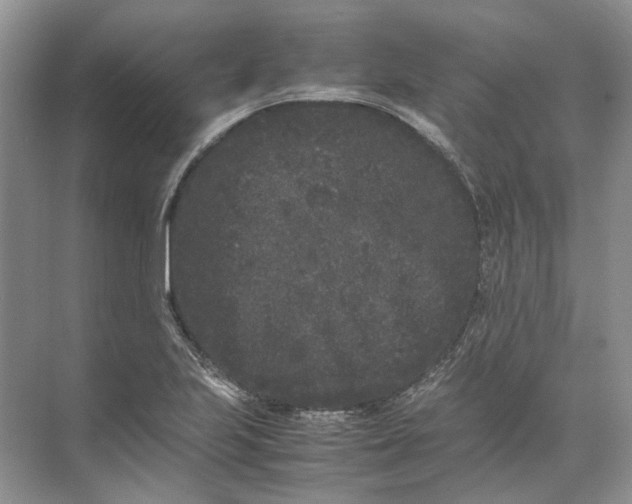 X0000072531223200607290216