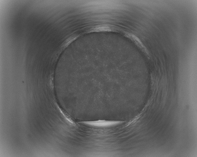 X0000072531225200607290216