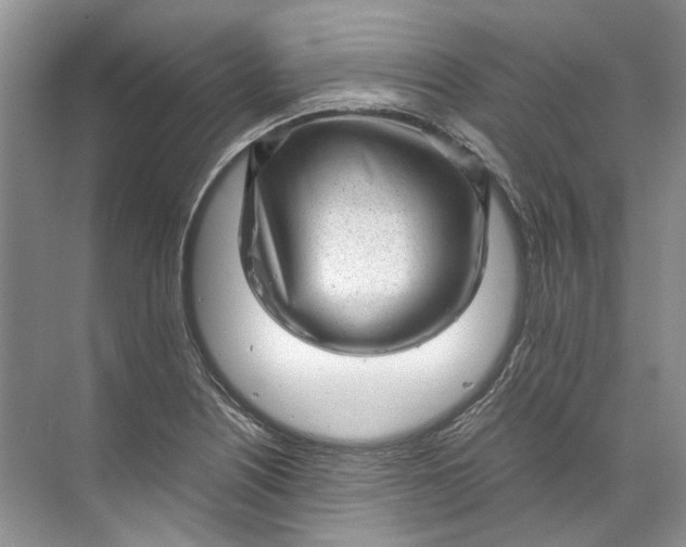 X0000072531226200607290216