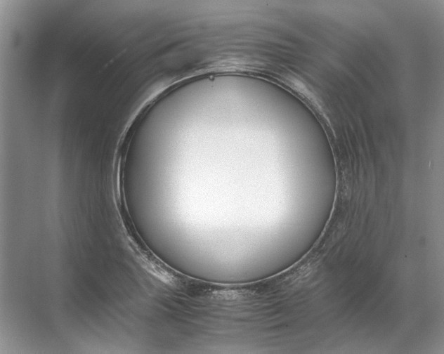 X0000072531227200607290216