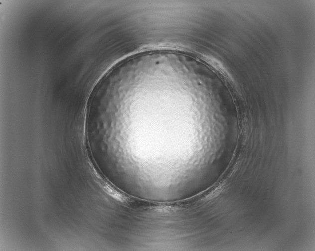 X0000072531228200607290216