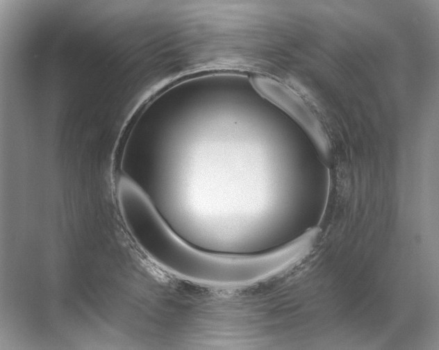 X0000072531230200607290216