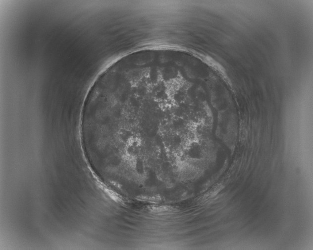 X0000072531231200607290216