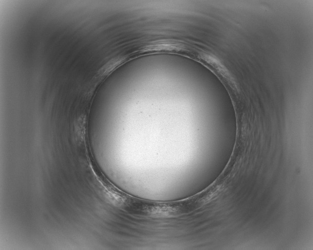 X0000072531233200607290216