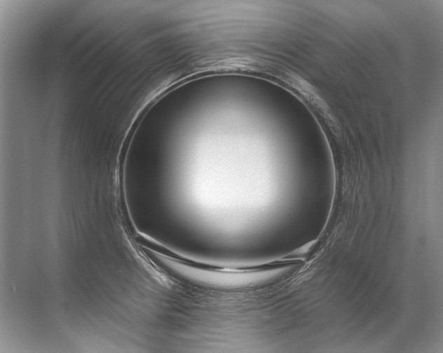 X0000072531234200607290216