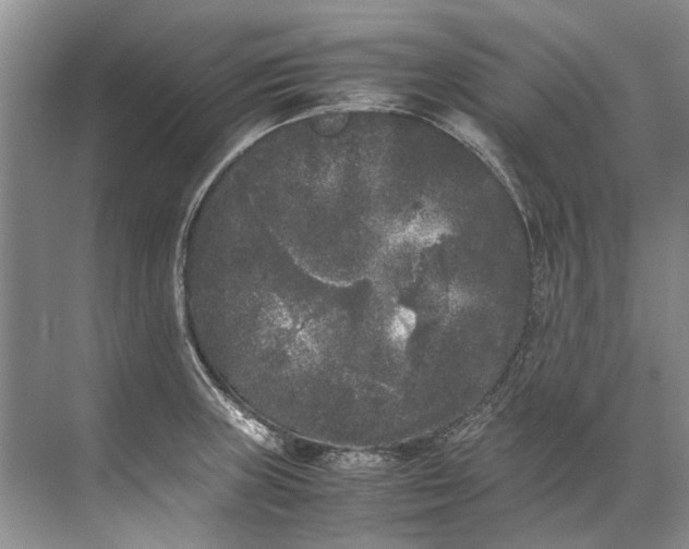 X0000072531235200607290216