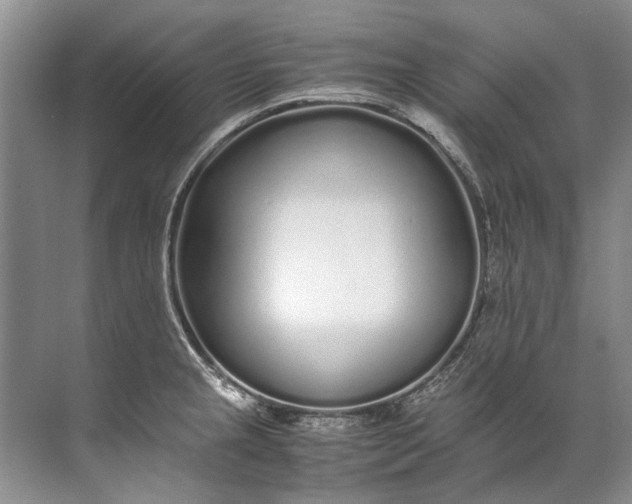 X0000072531237200607290216