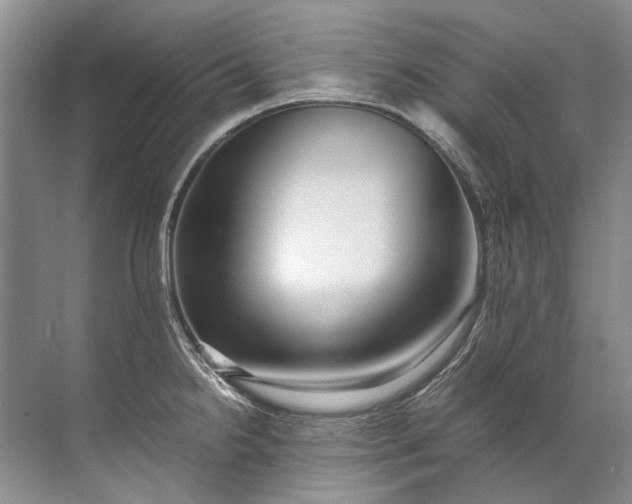 X0000072531238200607290216