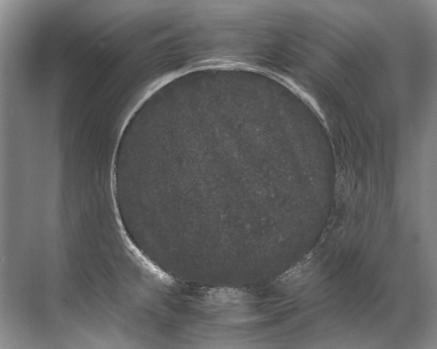 X0000072531239200607290216