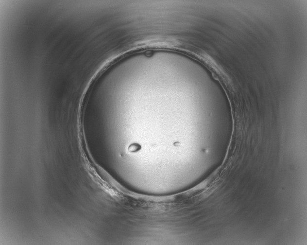 X0000072531240200607290216