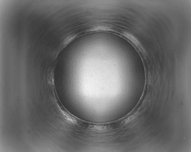 X0000072531241200607290216