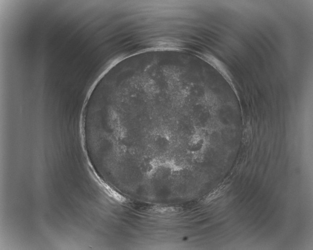 X0000072531243200607290216