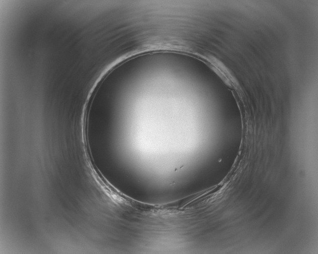 X0000072531246200607290216