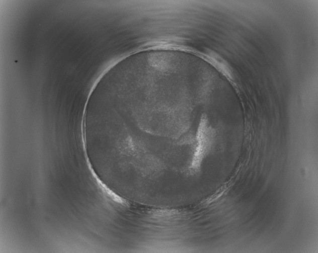 X0000072531247200607290216