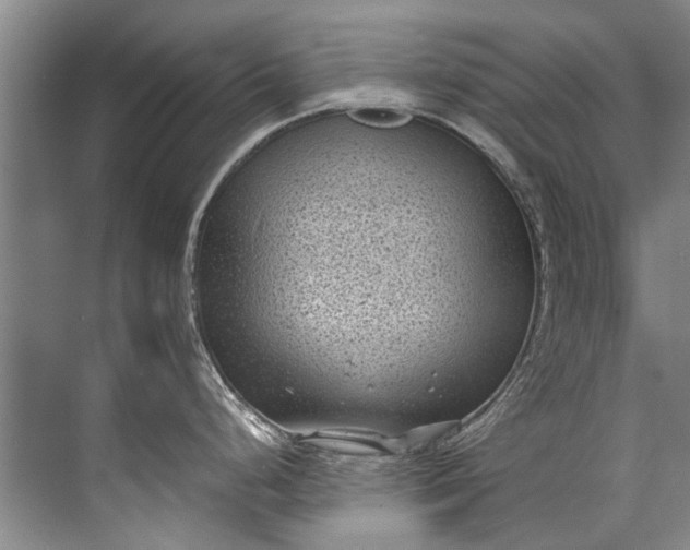 X0000072531248200607290216