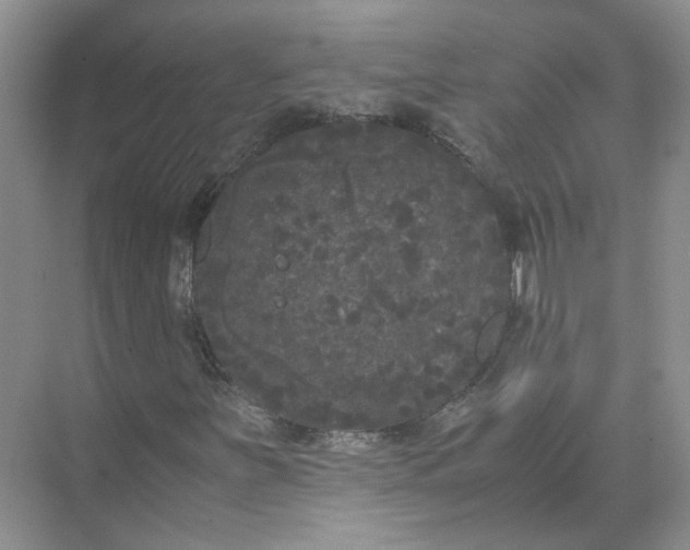 X0000072531251200607290215