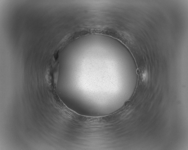 X0000072531252200607290215