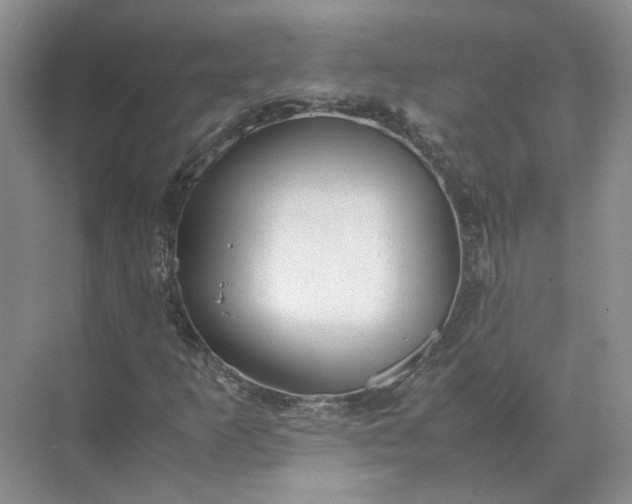 X0000072531253200607290215