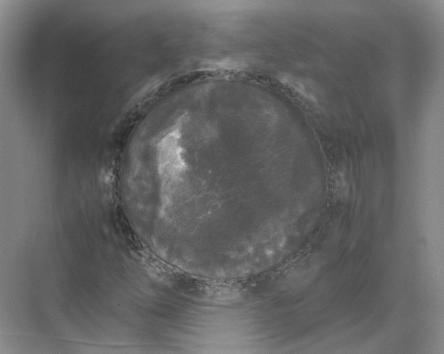 X0000072531254200607290215