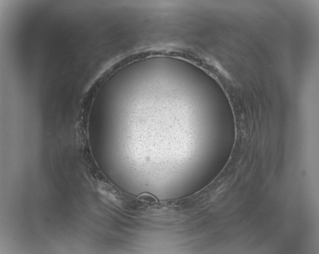 X0000072531256200607290215