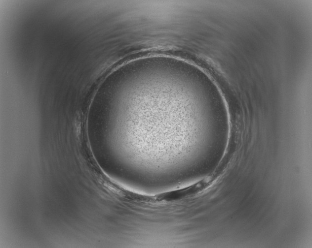 X0000072531257200607290215