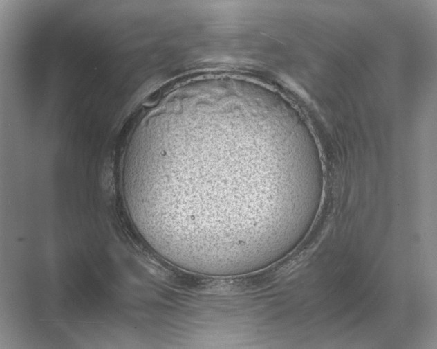 X0000072531259200607290215