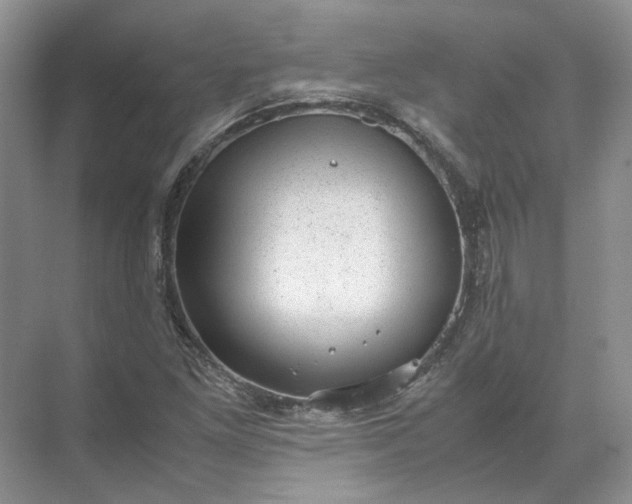 X0000072531261200607290215