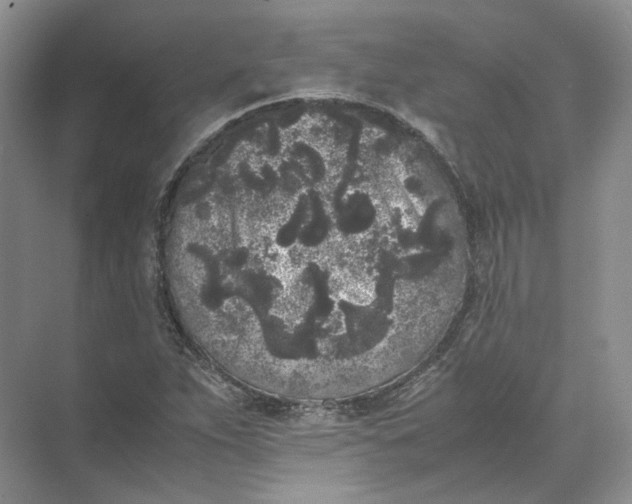 X0000072531263200607290215