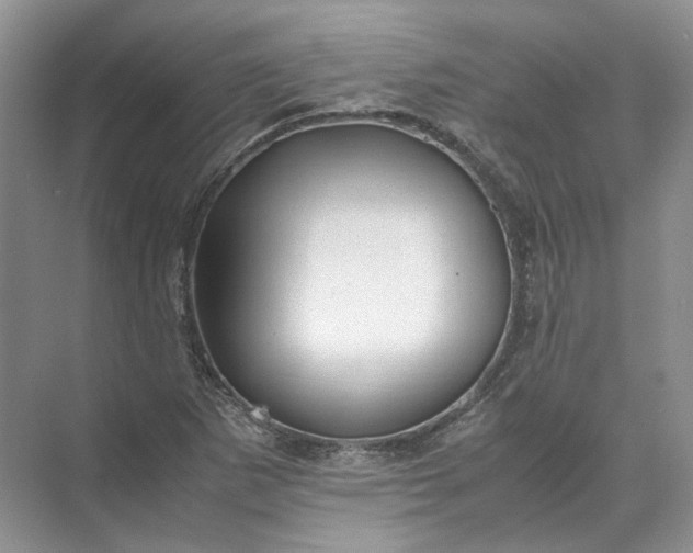 X0000072531265200607290215