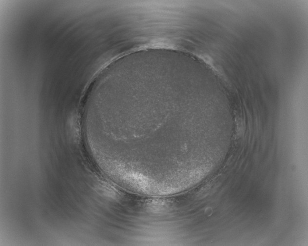 X0000072531266200607290215