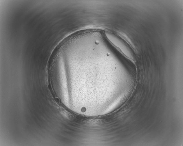 X0000072531268200607290215