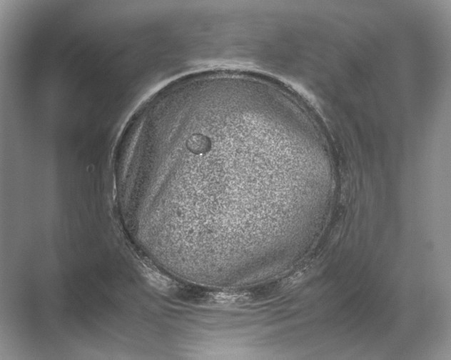 X0000072531271200607290215