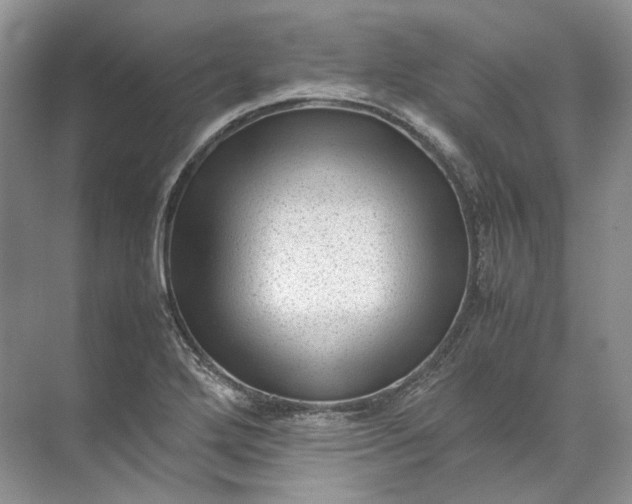 X0000072531272200607290215