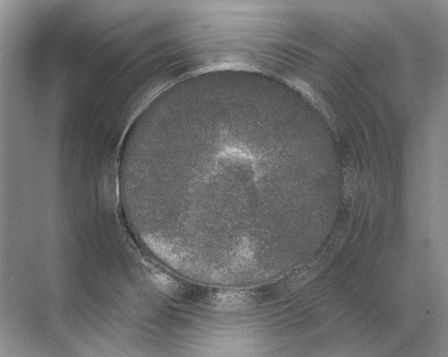 X0000072531274200607290215