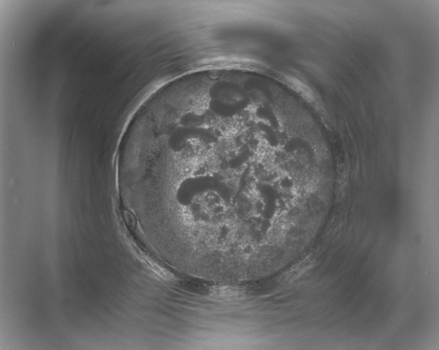 X0000072531275200607290215