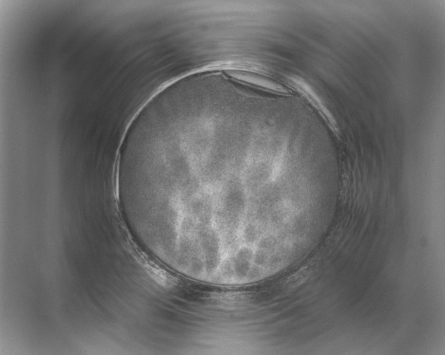 X0000072531276200607290215