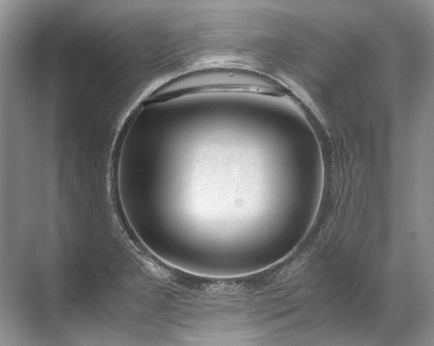 X0000072531277200607290215