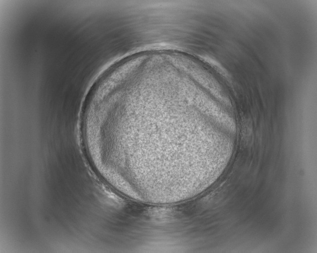 X0000072531278200607290215